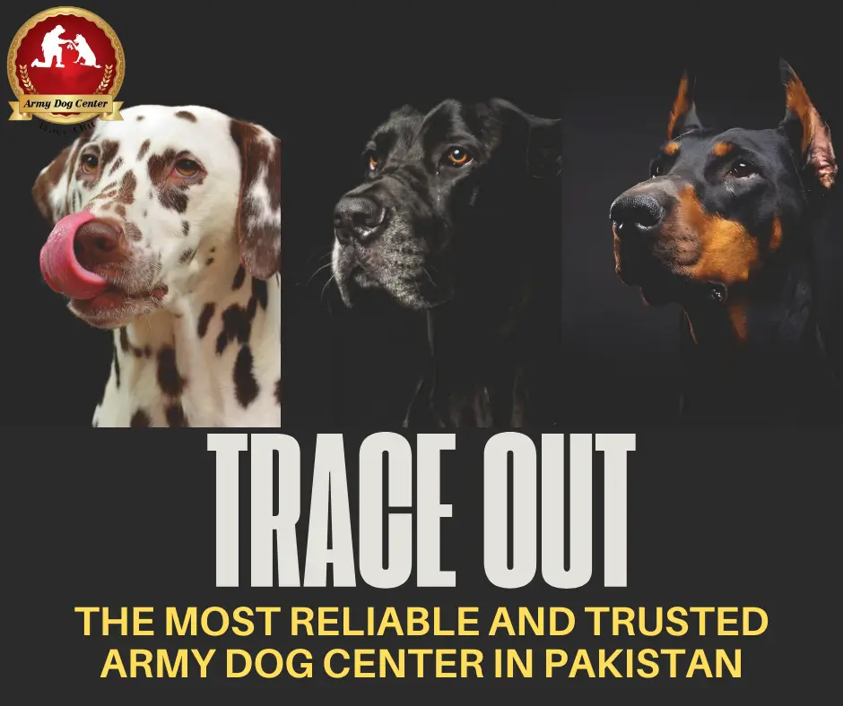 The Most Trusted Army Dog Center in Pakistan